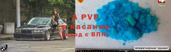 крисы Надым
