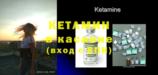 трава Наволоки