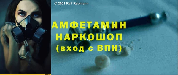 крисы Надым