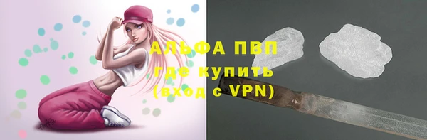 трава Наволоки