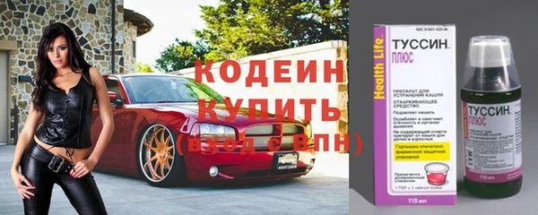 крисы Надым