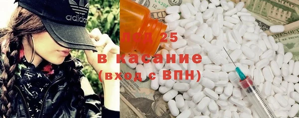 ПСИЛОЦИБИНОВЫЕ ГРИБЫ Михайловка
