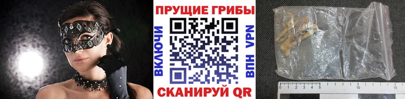 Псилоцибиновые грибы Magic Shrooms  Купить  Обнинск 