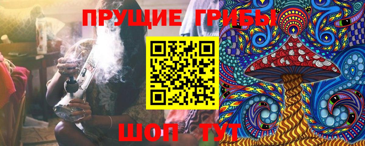 Галлюциногенные грибы Cubensis Обнинск