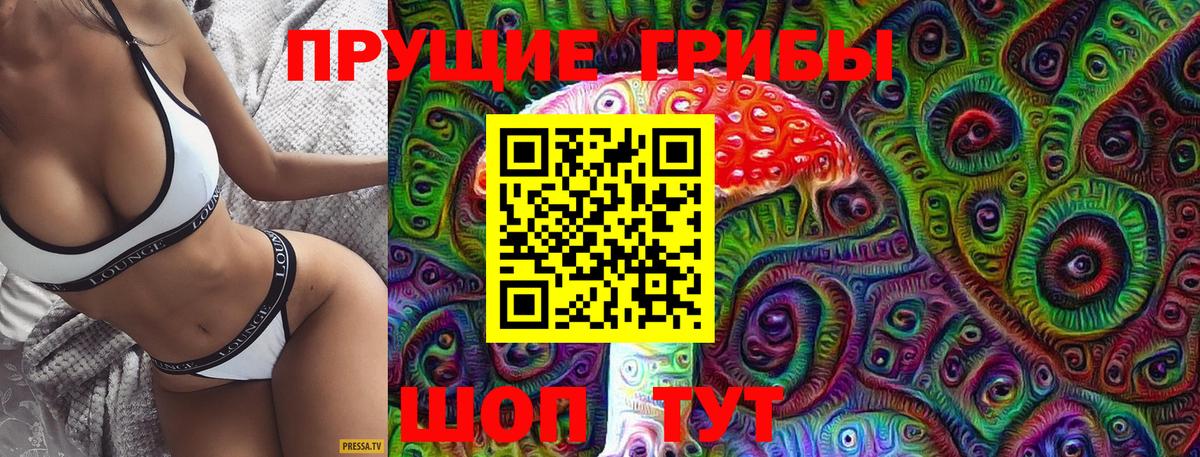 Галлюциногенные грибы Psilocybine cubensis  Псилоцибиновые грибы GOLDEN TEACHER  Обнинск  Вход с VPN 