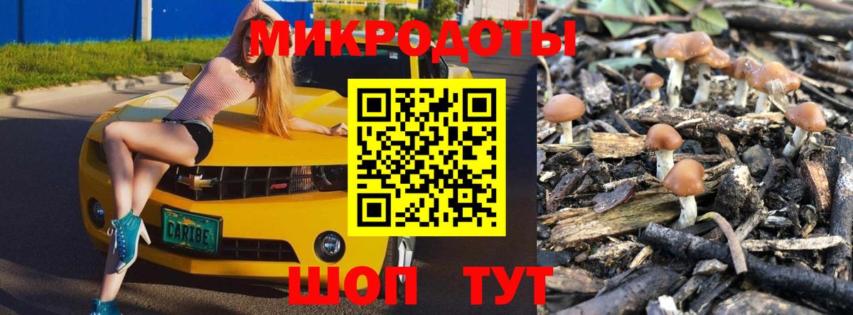 Псилоцибиновые грибы мухоморы Обнинск