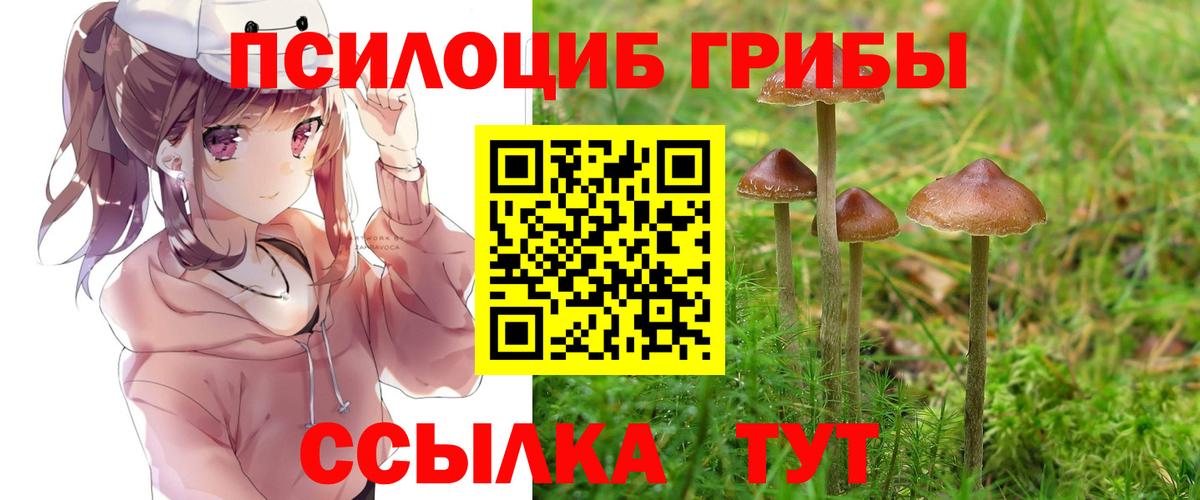 Псилоцибиновые грибы GOLDEN TEACHER  Обнинск 